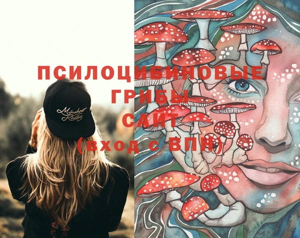 СК Беломорск