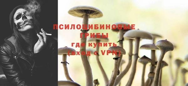 соль ск Пестово