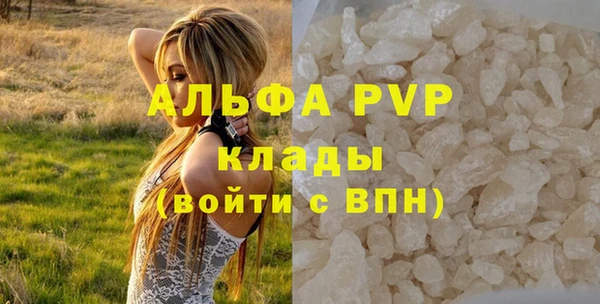 PSILOCYBIN Белокуриха