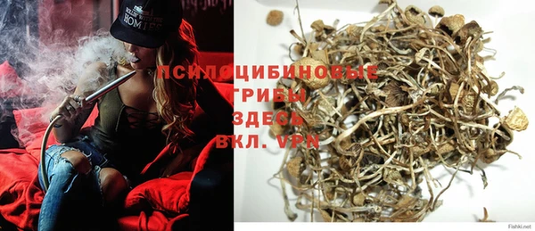 PSILOCYBIN Белокуриха