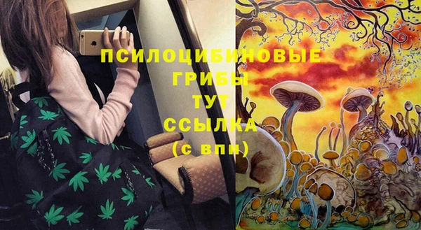 PSILOCYBIN Белокуриха