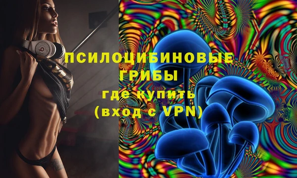 соль ск Пересвет