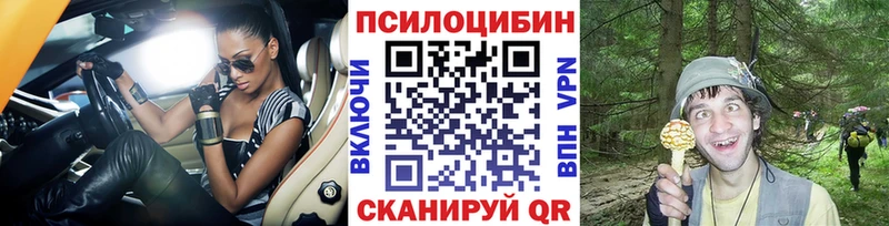 как найти закладки  Пыть-Ях  Псилоцибиновые грибы Psilocybine cubensis 